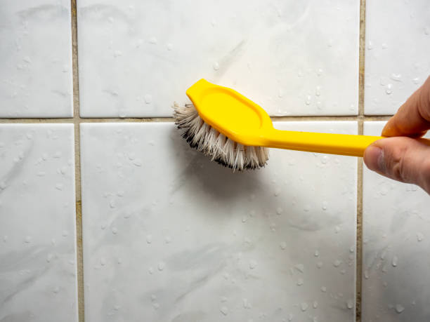 Best Emergency Mold Removal  in Normandy, MO