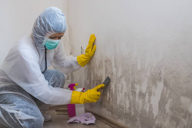 Best Crawl Space Mold Removal  in Normandy, MO