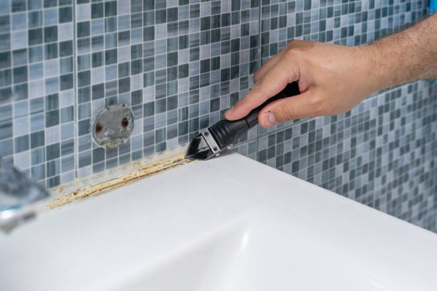 Reliable Normandy, MO Mold Removal Solutions