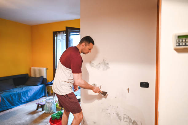 Best Mold Remediation Services  in Normandy, MO